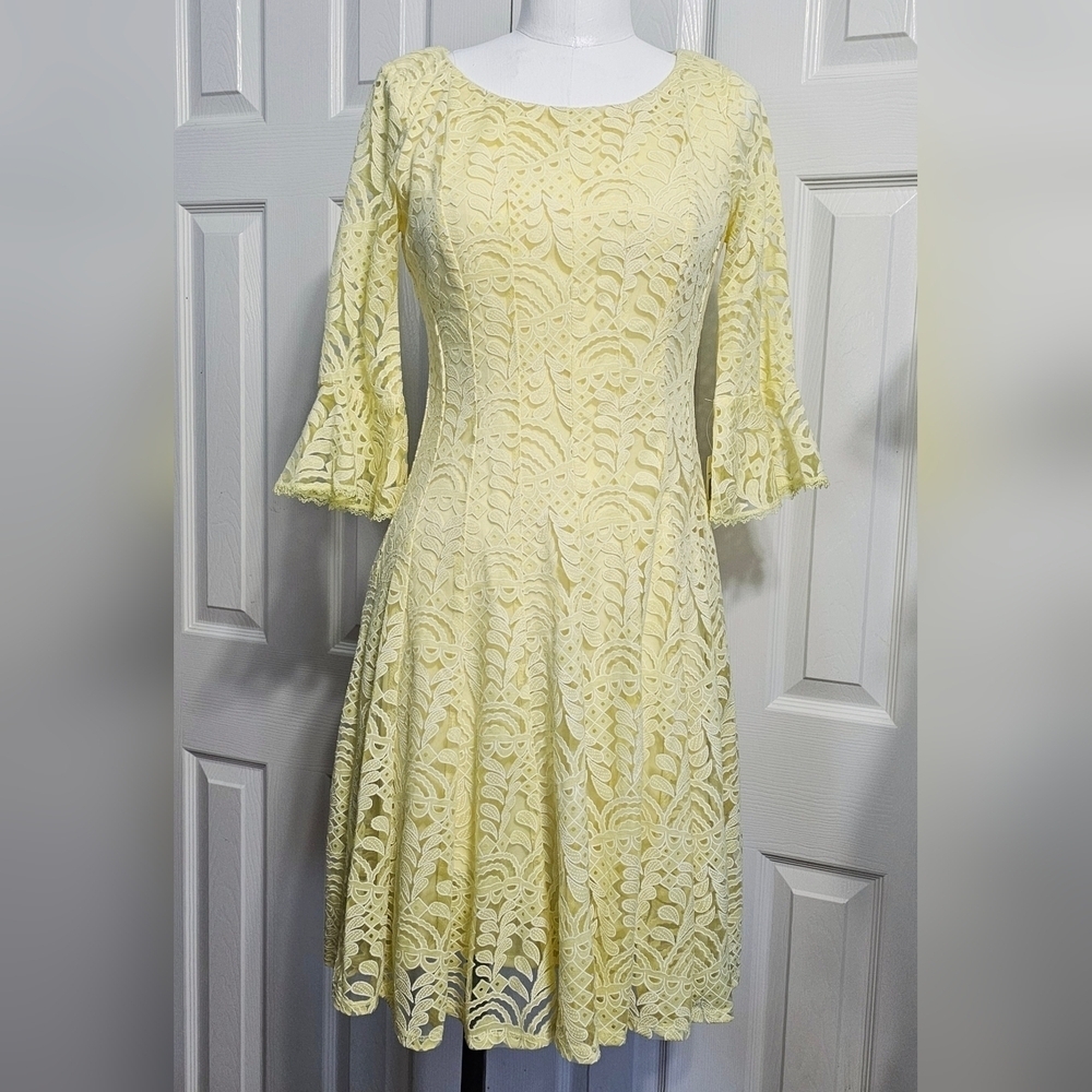 Anthropologie Rabbit  Rabbit Rabbit Lace Fit Flare Overlay Cottagecore Dress S - Picture 2 of 8